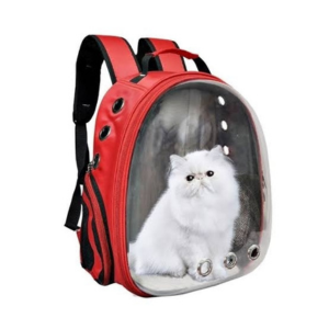 Cat Bag